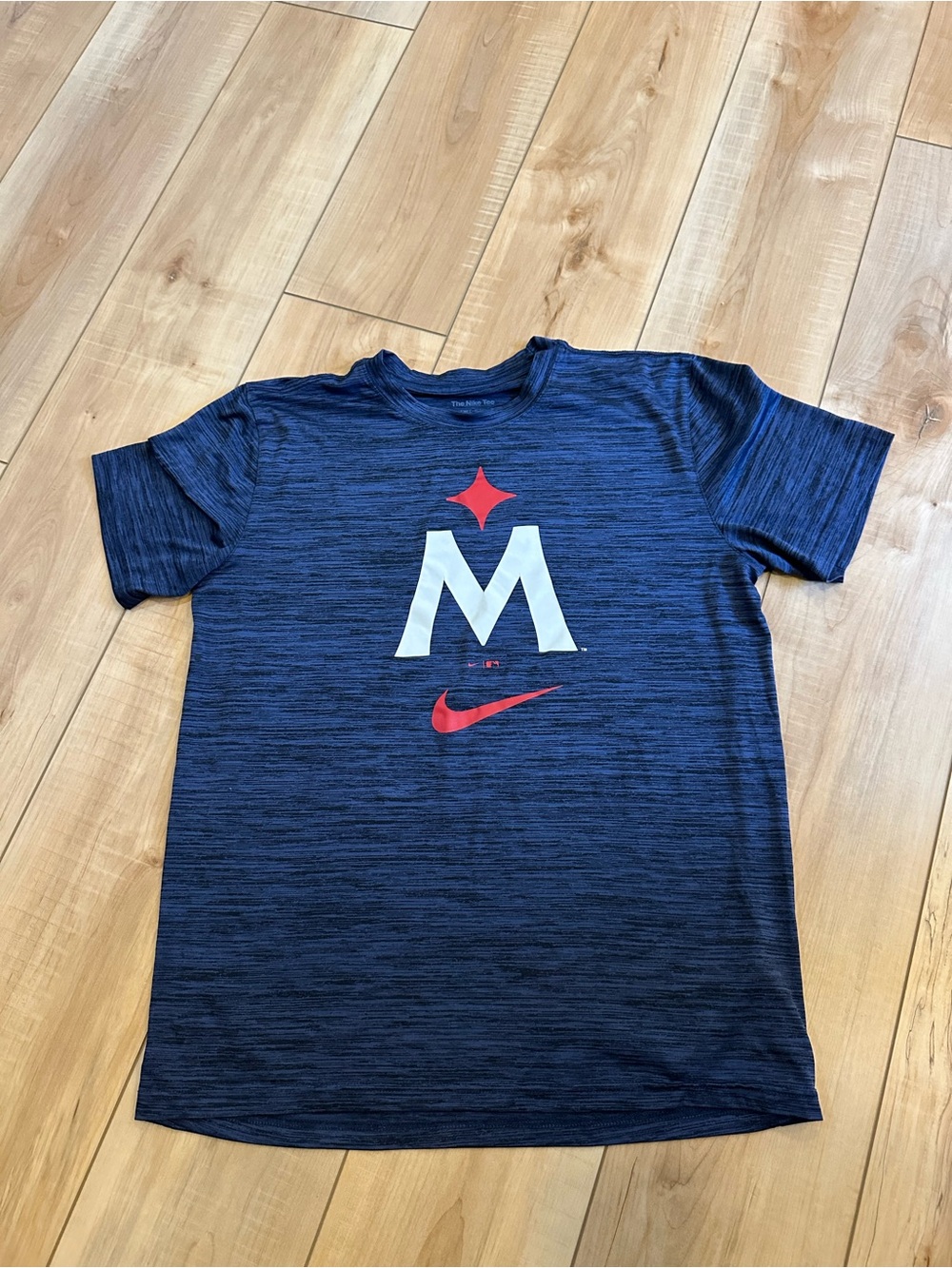 Nike Minnesota Twins Graphic Performance Tee